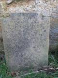 image number 5